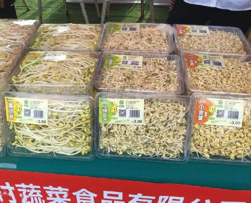 養(yǎng)老金上調(diào)惠及40余萬退休人員，路段施工提醒與科技成果對接活動預(yù)告