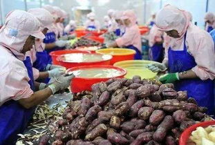 2017年，錯(cuò)過這些初級(jí)農(nóng)產(chǎn)品好項(xiàng)目，農(nóng)民朋友們或?qū)⒑蠡? />
</span>
<span id=