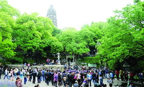 旅游服務新篇章 以品質(zhì)提升為核心，借力廣告與傳播媒體運營引客來